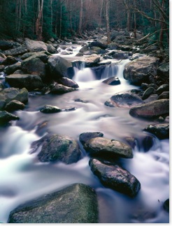 mcswainphotogreenbriar